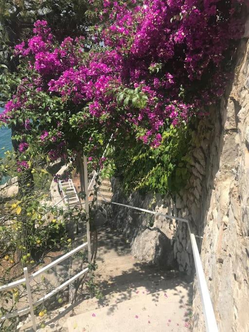 Pousada Jana Dubrovnik